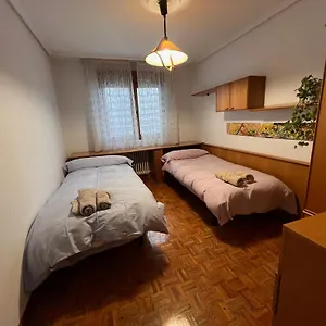 https://apt-luminoso-piso-grande-con-garaje-en-el-centro.bilbaohotelsspain.com